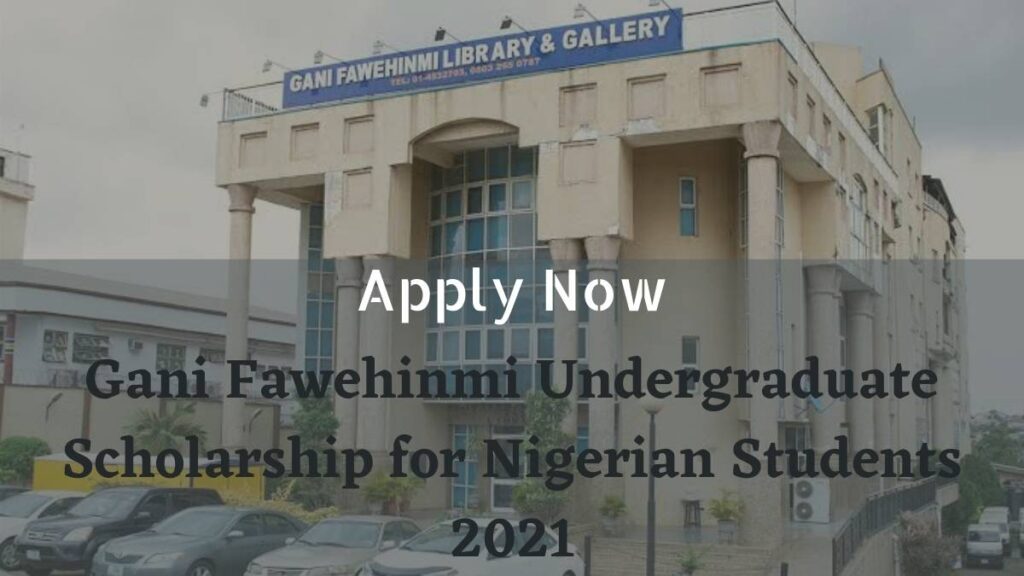 Gani Fawehinmi Undergraduate Scholarship