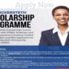 Seyi Bickersteth Scholarship Program 2021