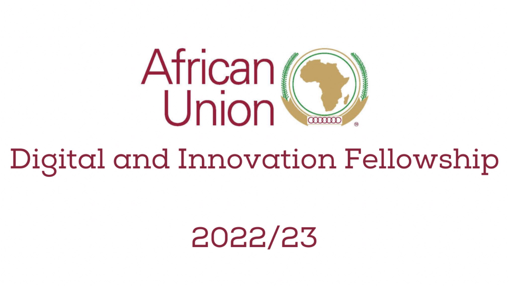 AU Digital and Innovation Fellowship 2022/2023