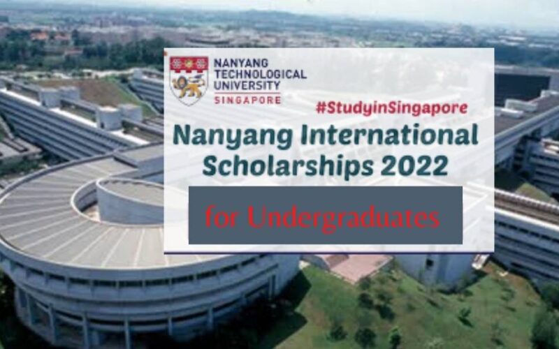Nanyang International Scholarships 2022/23
