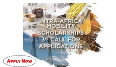 Intra-Africa Staff Mobility Scholarship 2022