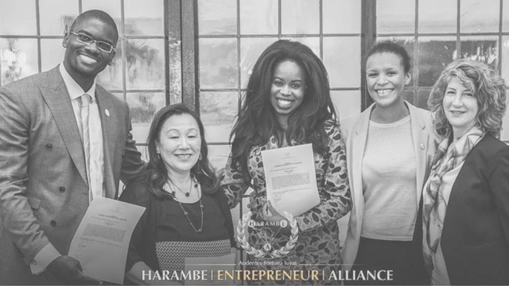 Harambe Entrepreneur Alliance Scholarships 2022