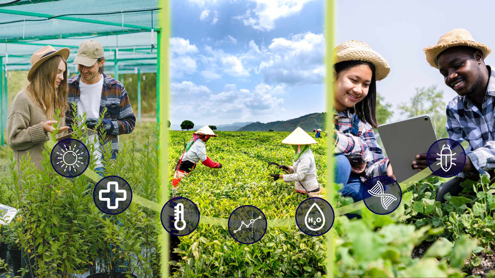 Global Agrifood Techpreneur Programme 2023