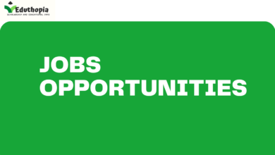 15 Job Opportunities for Professionals across Various Sectors