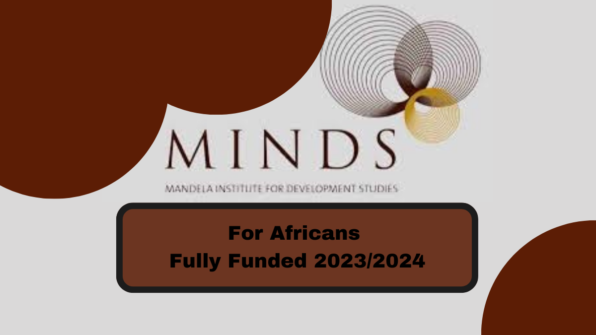 MINDS Scholarship Programme 2023 for Africans