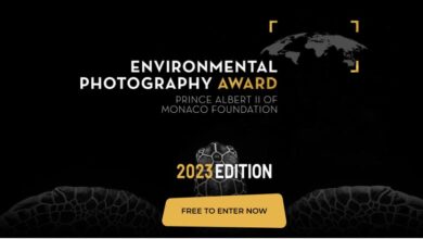 Prince Albert II of Monaco Foundation Environmental Photography Award 2023 (€5,000 grant)