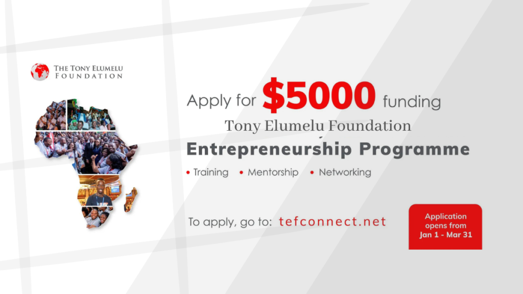Tony Elumelu Foundation Entrepreneurship Programme