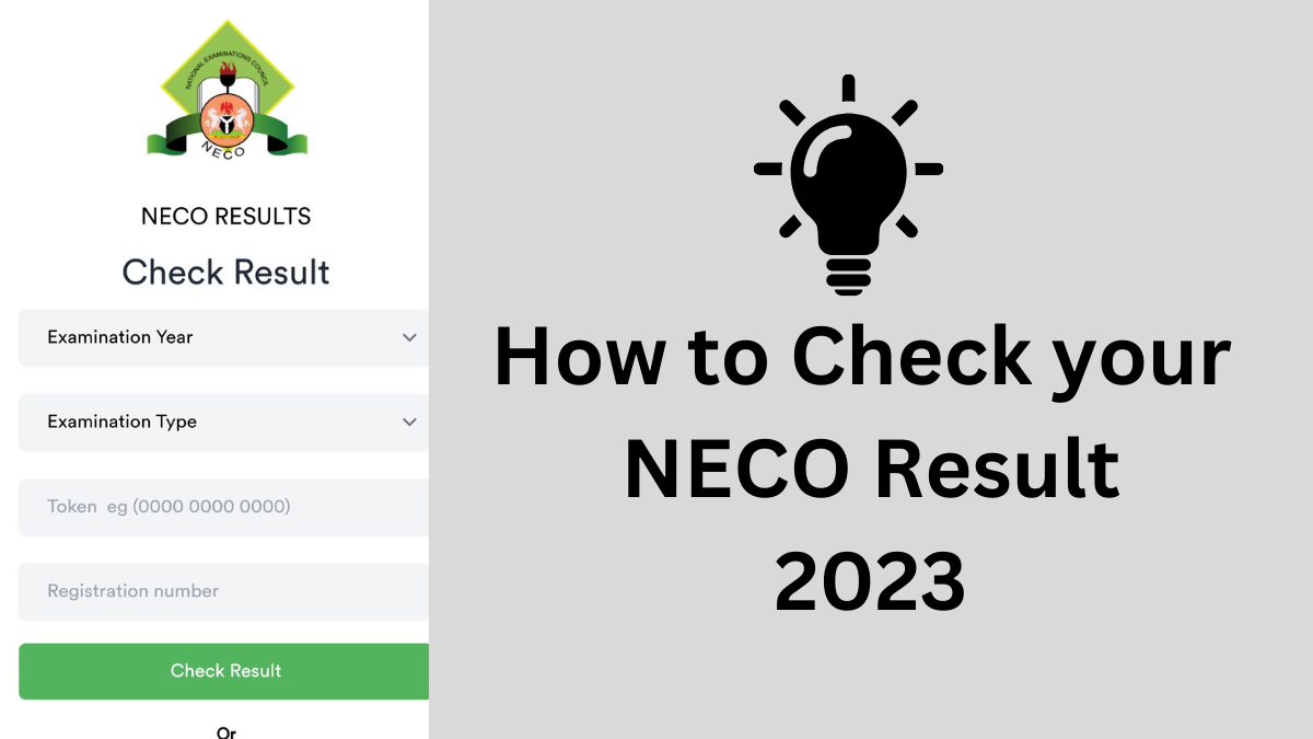 How to Check NECO Results 2023