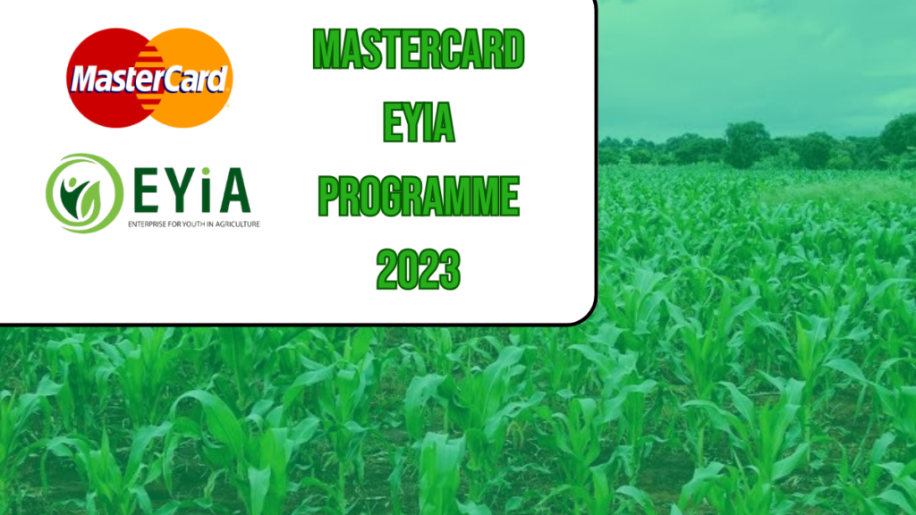 MasterCard Foundation Enterprise for Youths in Agriculture Programme