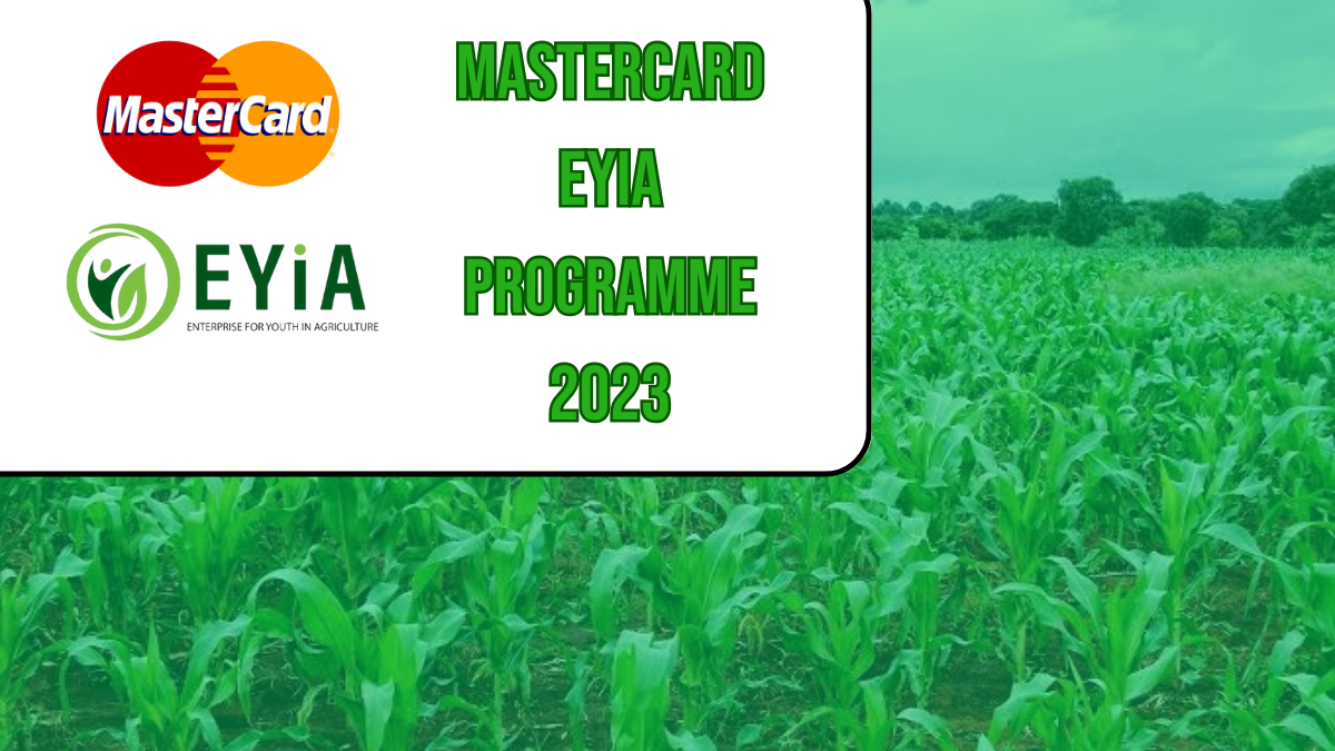 MasterCard Foundation Enterprise for Youths in Agriculture Programme