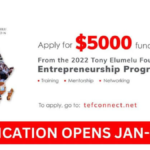 Tony Elumelu Foundation Entrepreneurship Program 2024