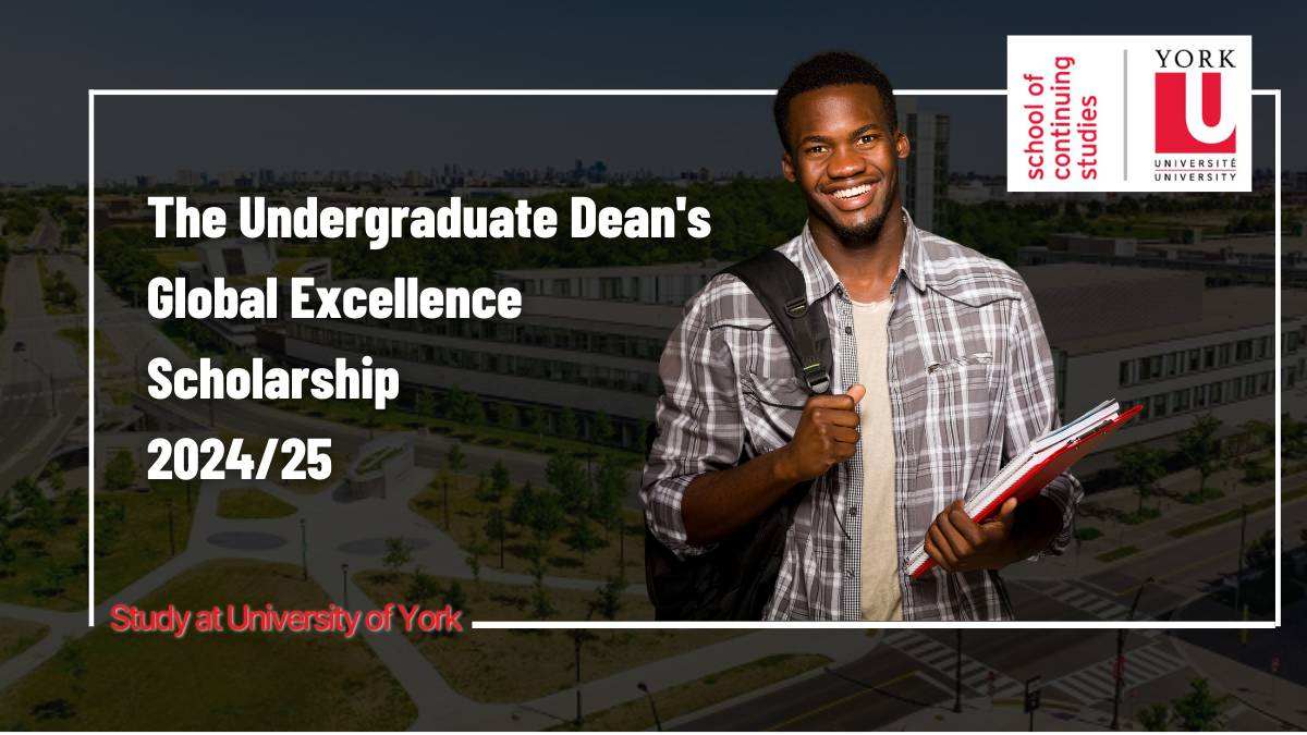Undergraduate Dean's Global Excellence Scholarship